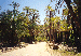 75.gif - 5100 Bytes