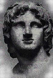 Small Alexander Head #6 46.7 K