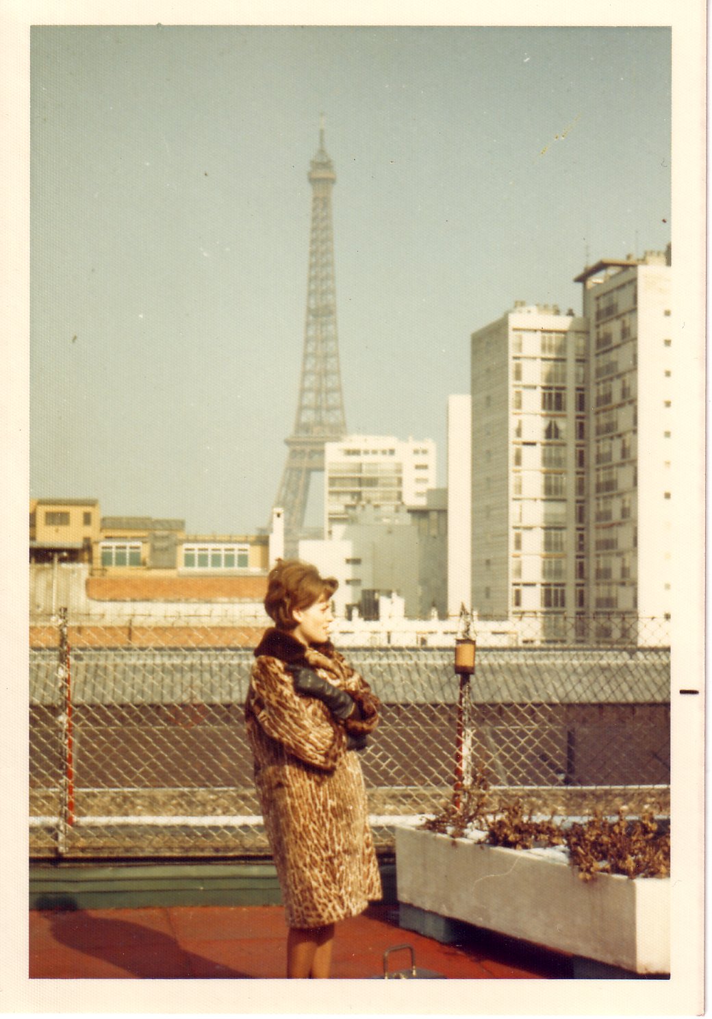 Image26.jpg