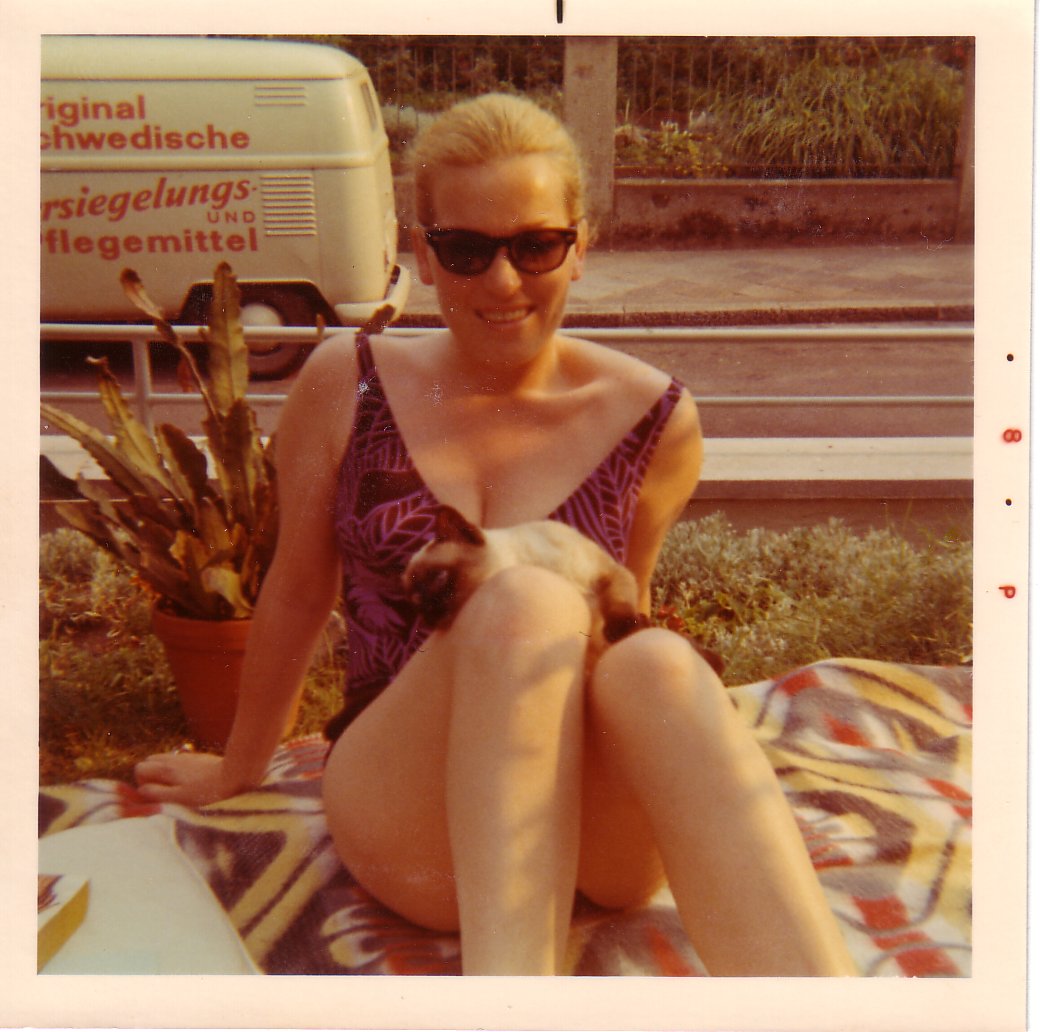 Image31.jpg