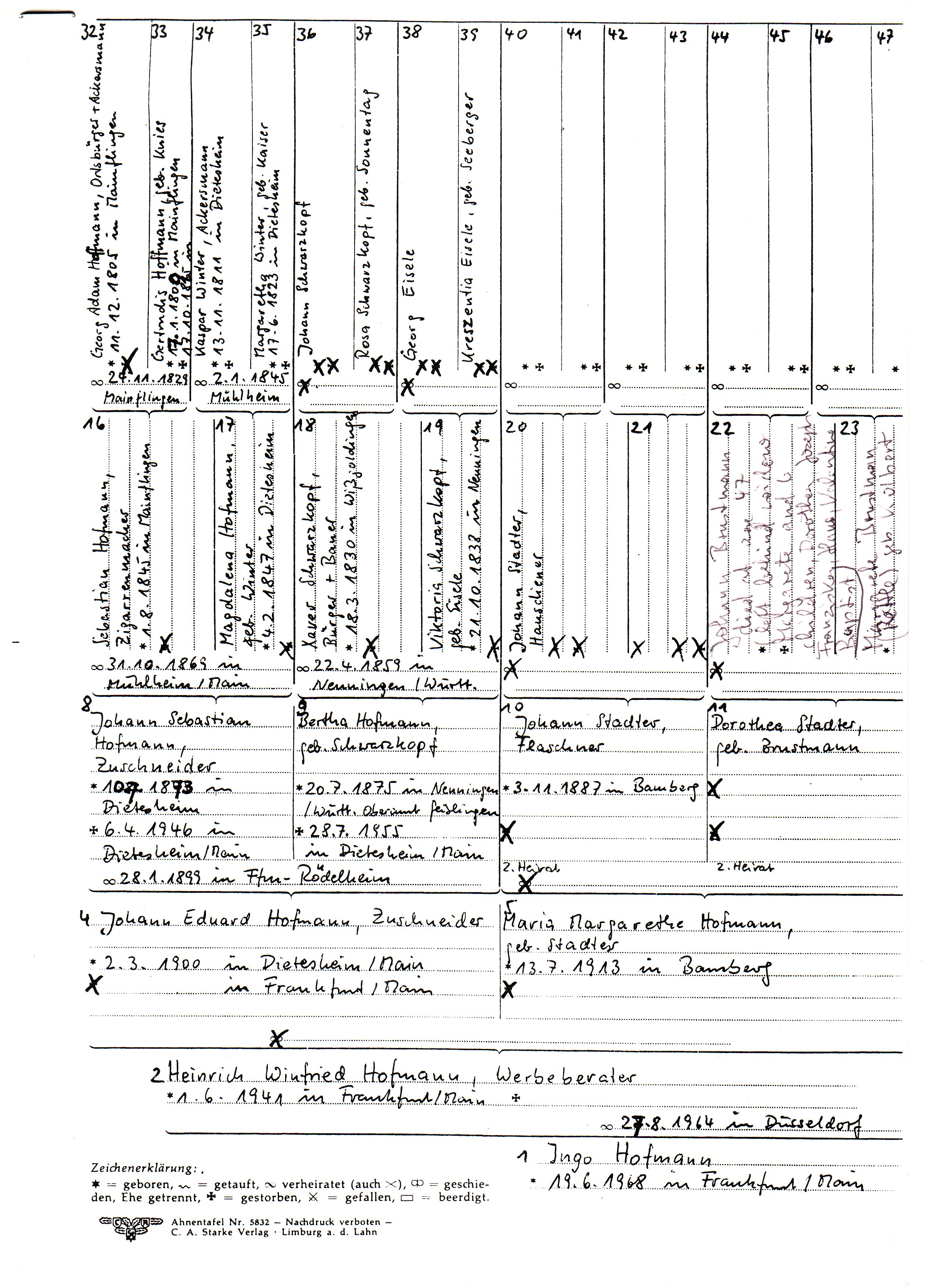 additional detail on stadter.jpg