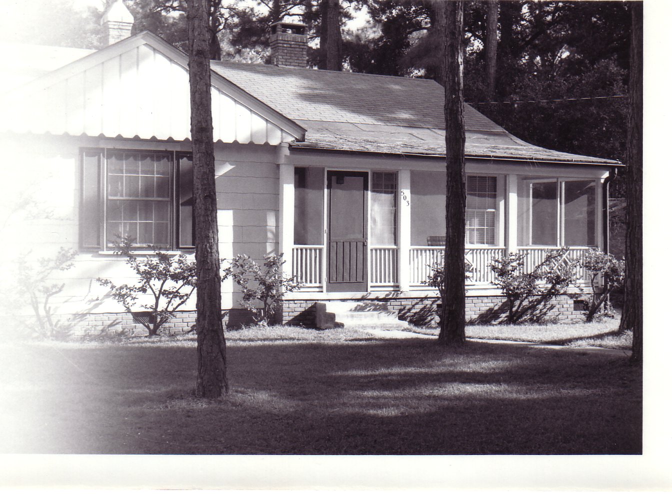 Image63.jpg