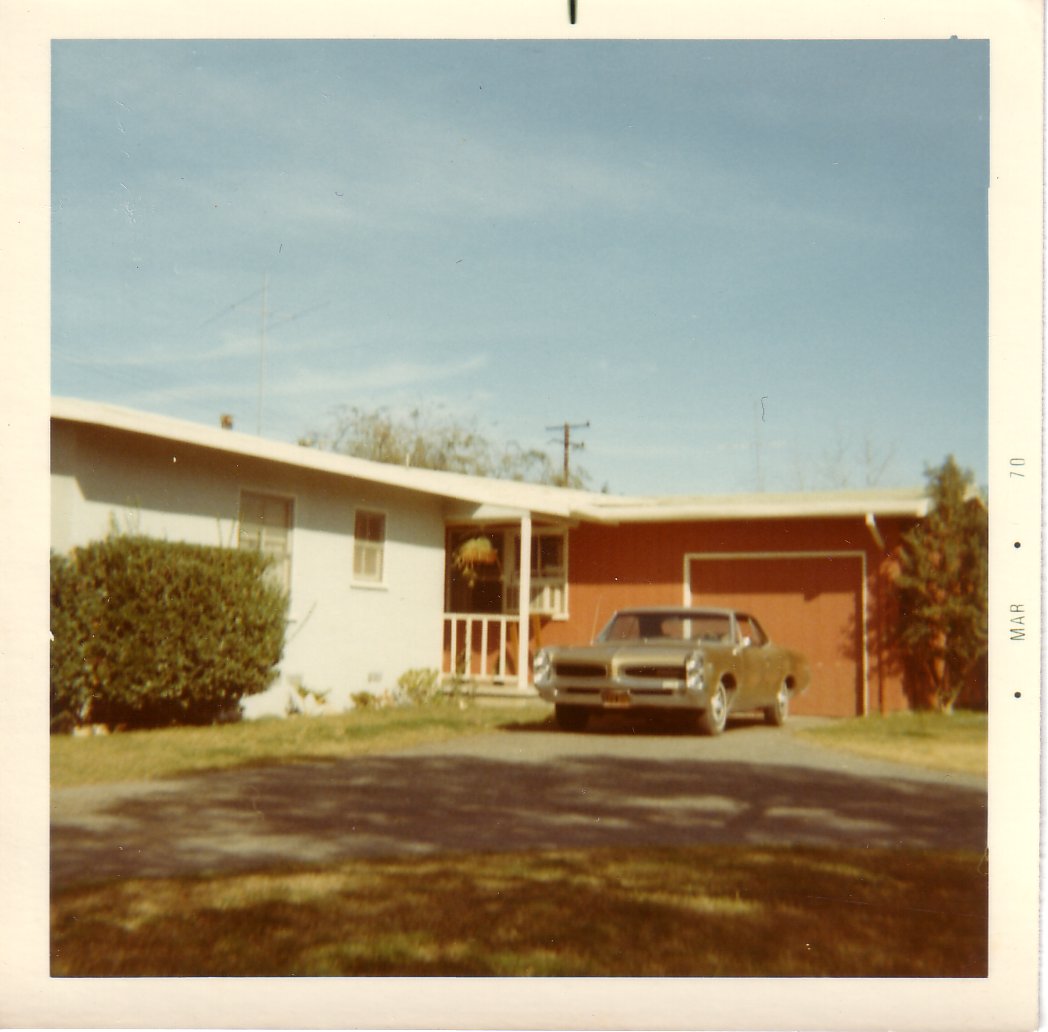 Image65.jpg