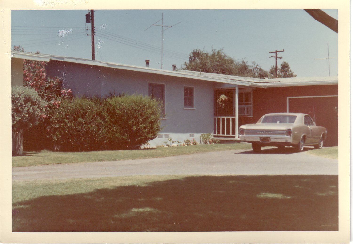 Image66.jpg