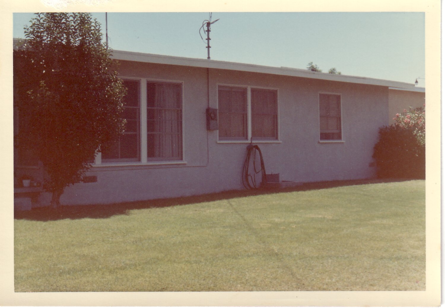 Image67.jpg