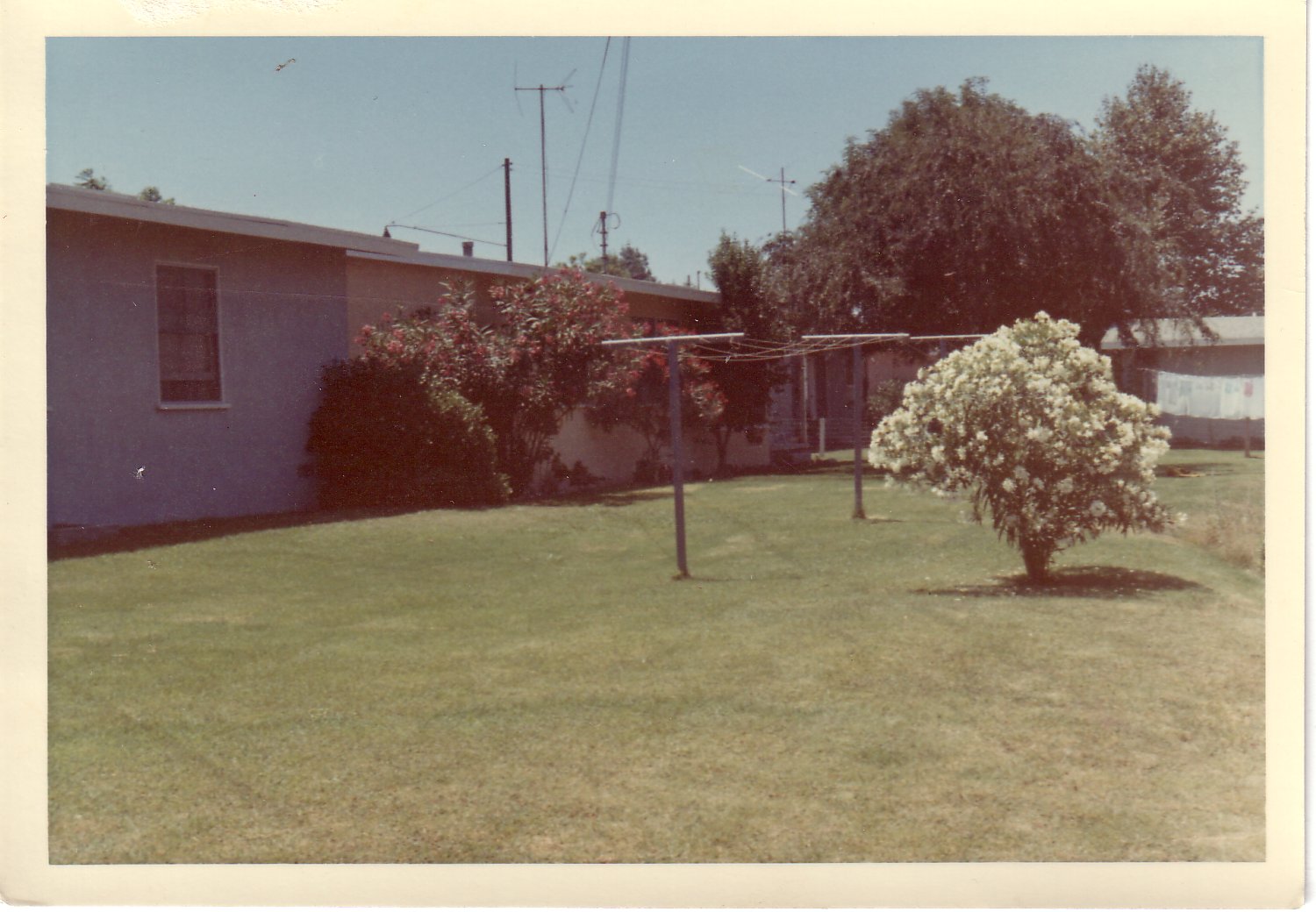 Image68.jpg