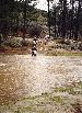 11.gif - 9686 Bytes
