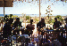 113.gif - 4965 Bytes