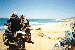 117.gif - 4253 Bytes