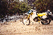 21.gif - 5251 Bytes
