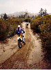 24.gif - 8794 Bytes