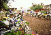 29.gif - 5081 Bytes