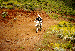 35.gif - 5663 Bytes