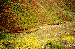 36.gif - 5666 Bytes