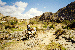 41.gif - 5117 Bytes