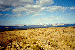 44.gif - 5016 Bytes