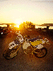 49.gif - 7595 Bytes