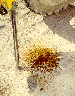 55.gif - 9108 Bytes