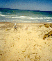 71.gif - 7580 Bytes
