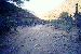 83.gif - 4887 Bytes
