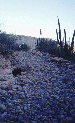 84.gif - 10008 Bytes