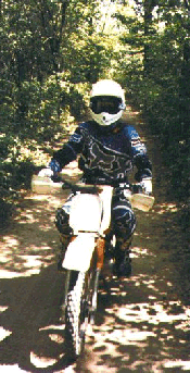 small Fox poster child 55.3 K