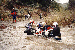 15.gif - 5259 Bytes