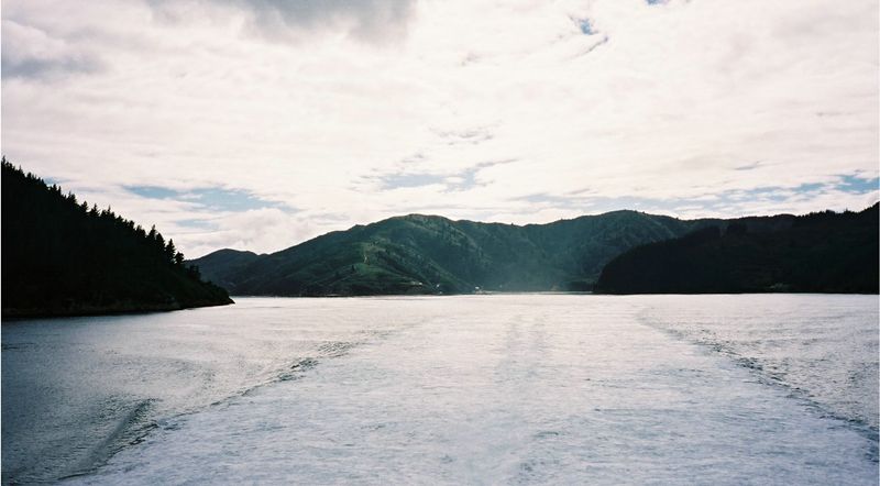 D1-008.jpg