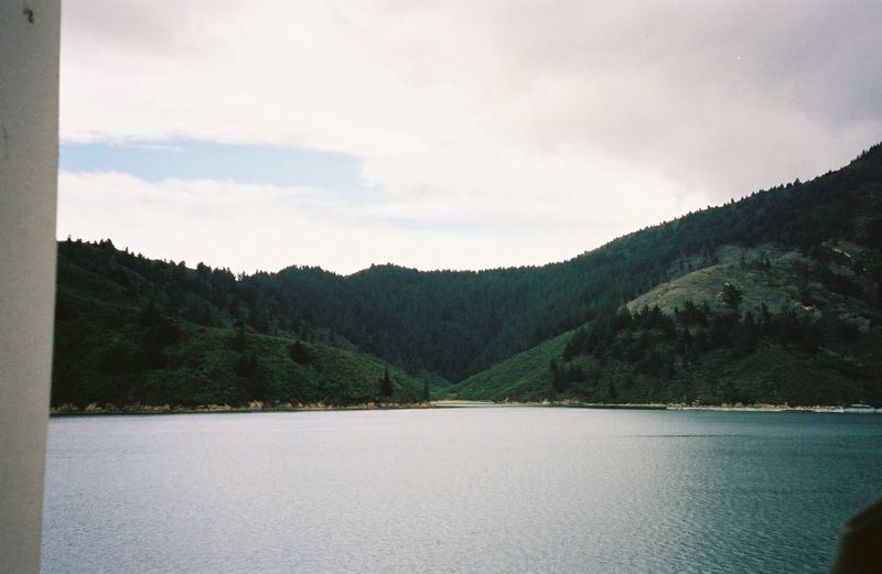 D1-009.jpg