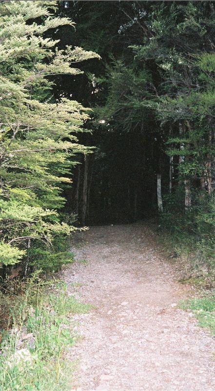 D1-048.jpg