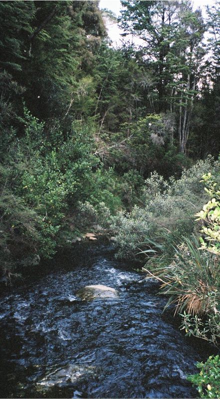 D1-050.jpg