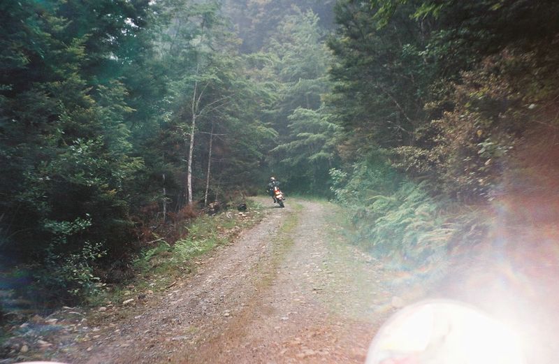 D2-006.jpg