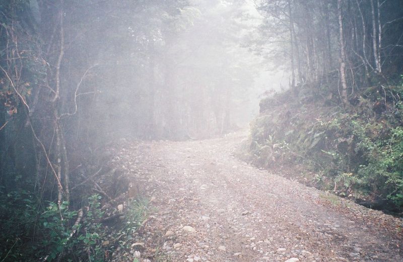 D2-007.jpg