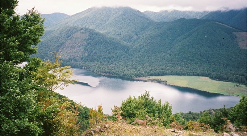 D2-008.jpg