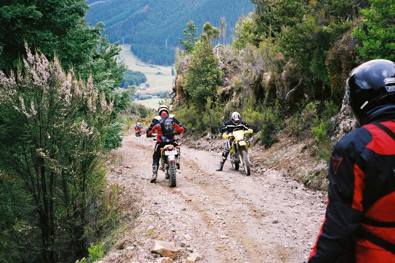 D2-016.jpg