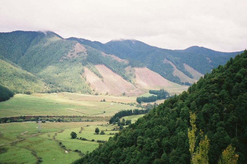 D2-017.jpg