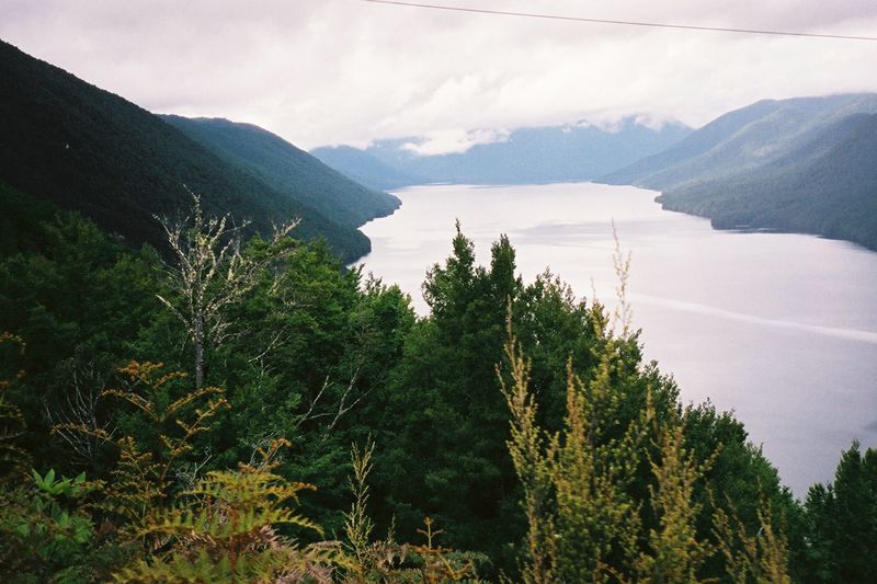 D2-018.jpg