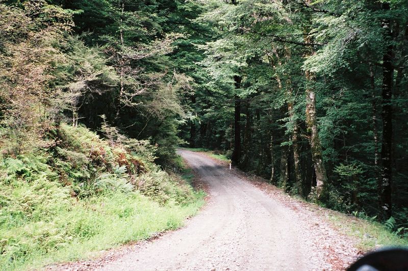 D2-020.jpg