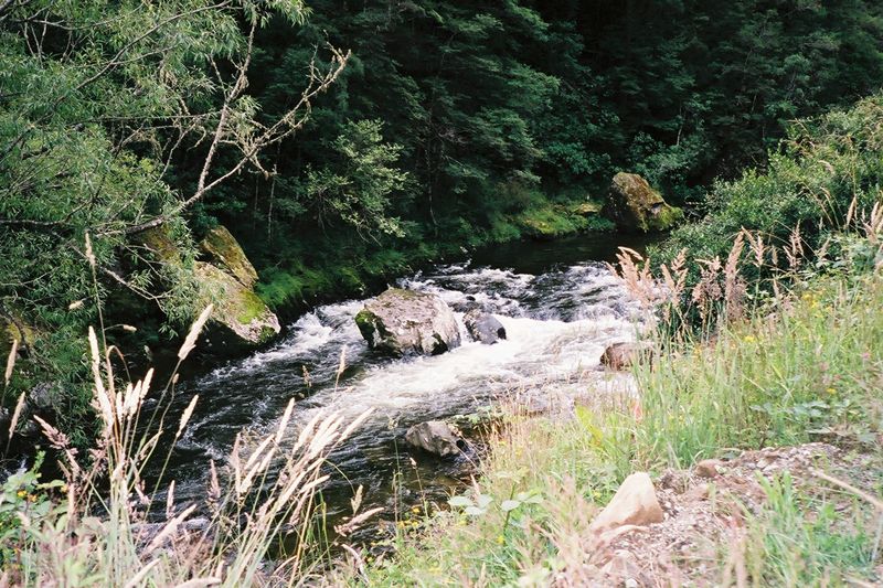 D2-028.jpg