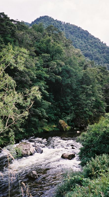 D2-030.jpg