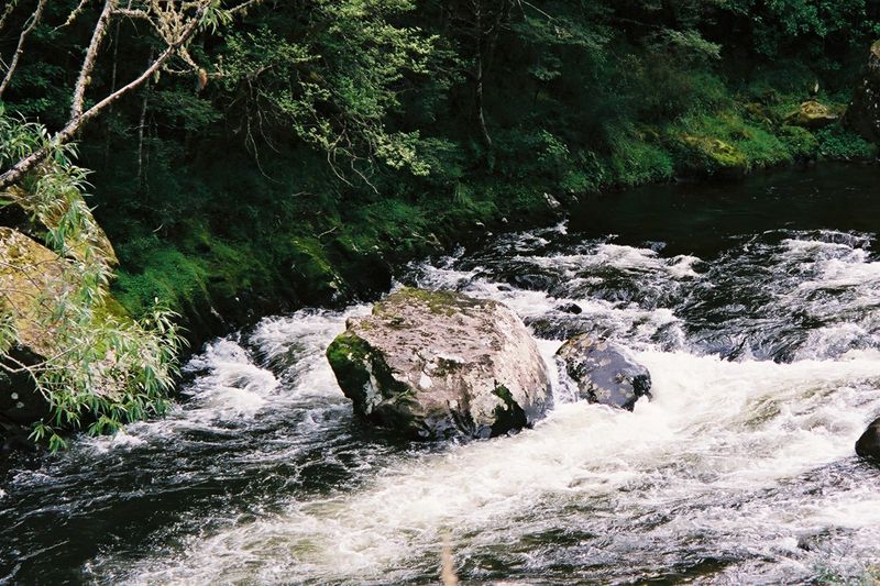 D2-032.jpg