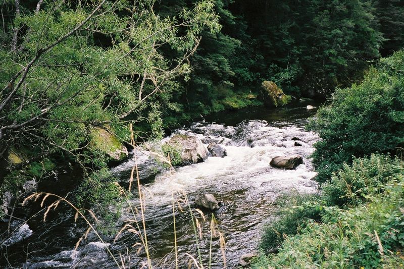 D2-033.jpg