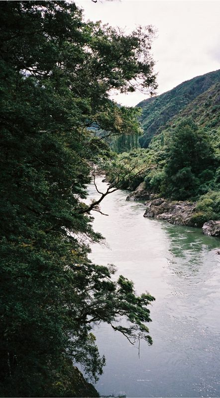 D2-039.jpg