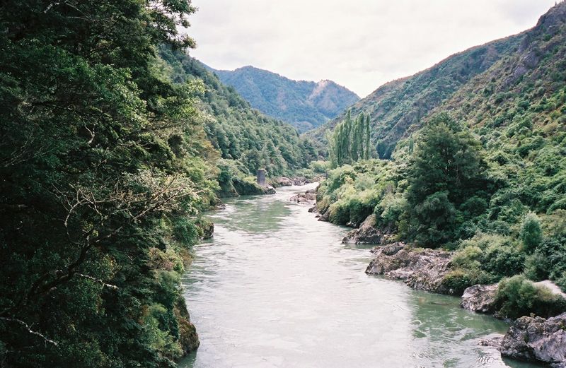D2-040.jpg