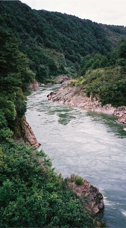 D2-047.jpg