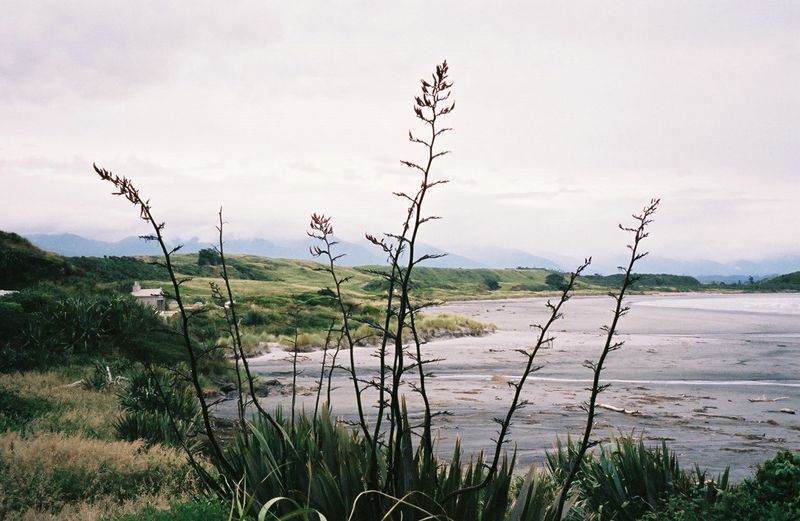 D2-084.jpg