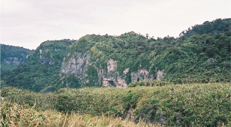 D2-093.jpg