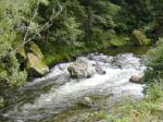 Dsc02674.jpg