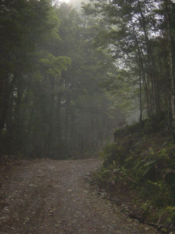 Dsc02664.jpg