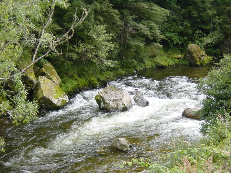 Dsc02674.jpg